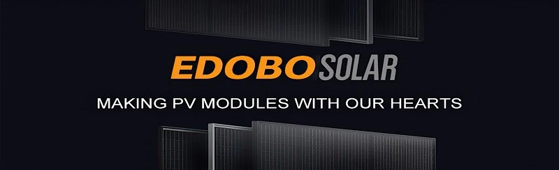 product-800-244